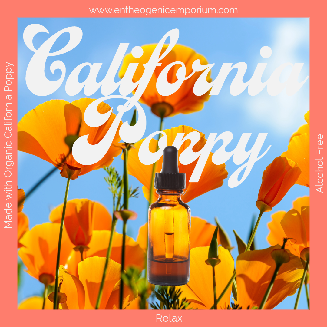 Organic California Poppy alcohol-free tincture in an amber glass dropper bottle, displayed among bright orange poppy flowers under a blue sky, promoting a calm, botanical herbal aesthetic.