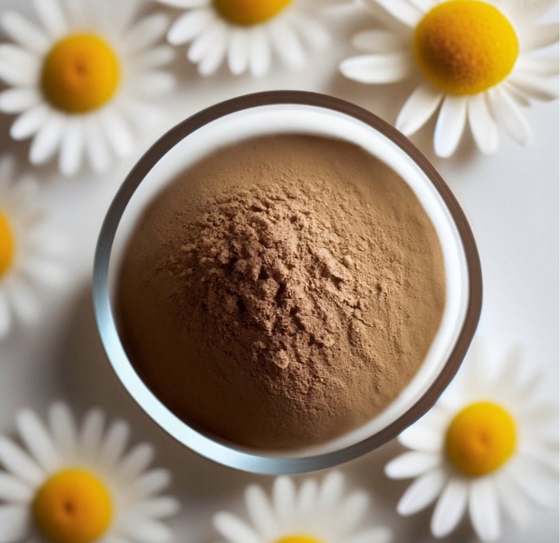 Organic CHAMOMILE powder finely ground in a clear glass bowl, surrounded by whole dried betel nuts on a clean gray background, natural botanical powder by Healing Herbals.