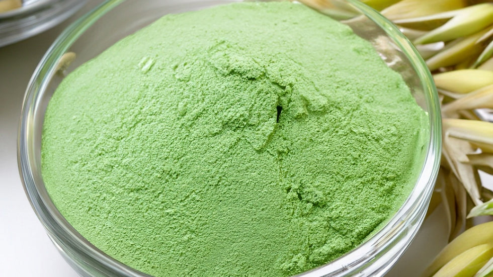 Organic oatstraw powder in a clear glass bowl, finely milled vibrant green herbal powder with dried oatstraw stems in the background, natural botanical by Healing Herbals.