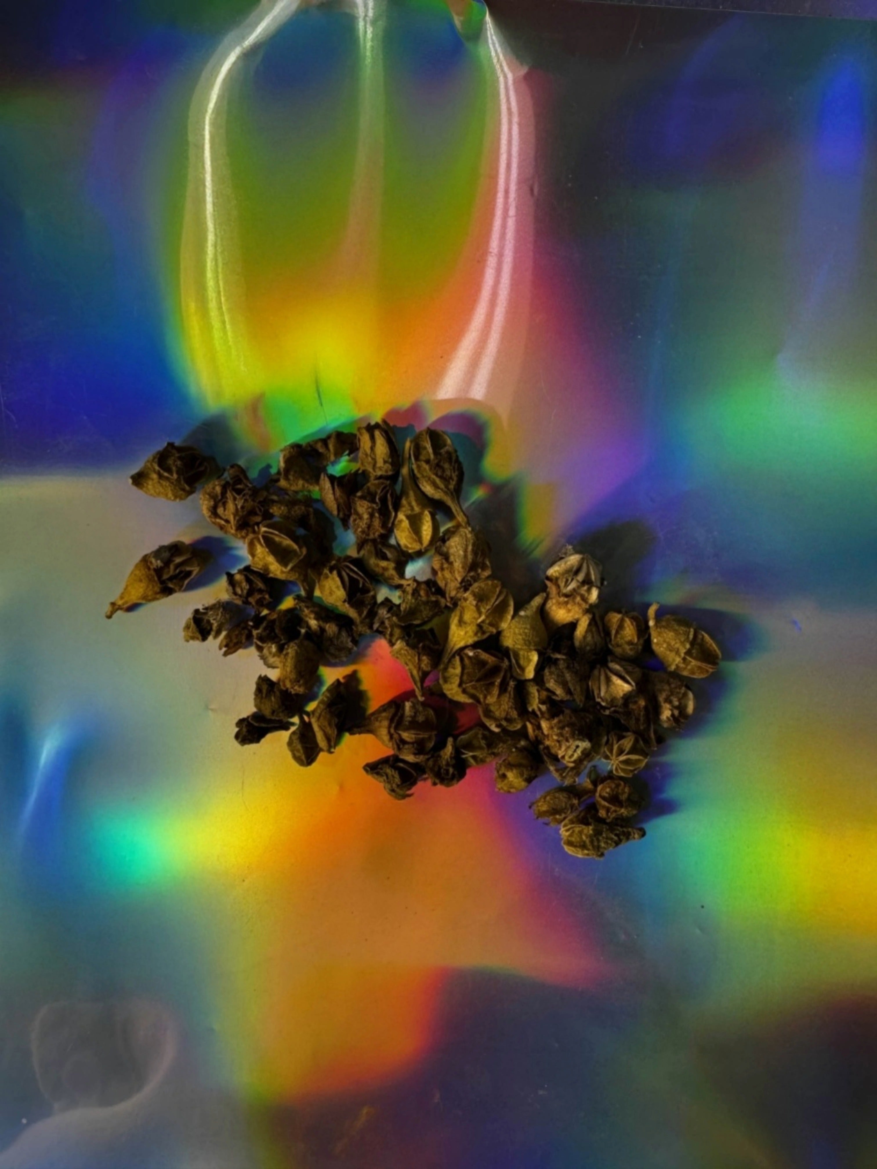 Dried herbs, specifically the seeds from the kanna plant, on a colorful, reflective surface