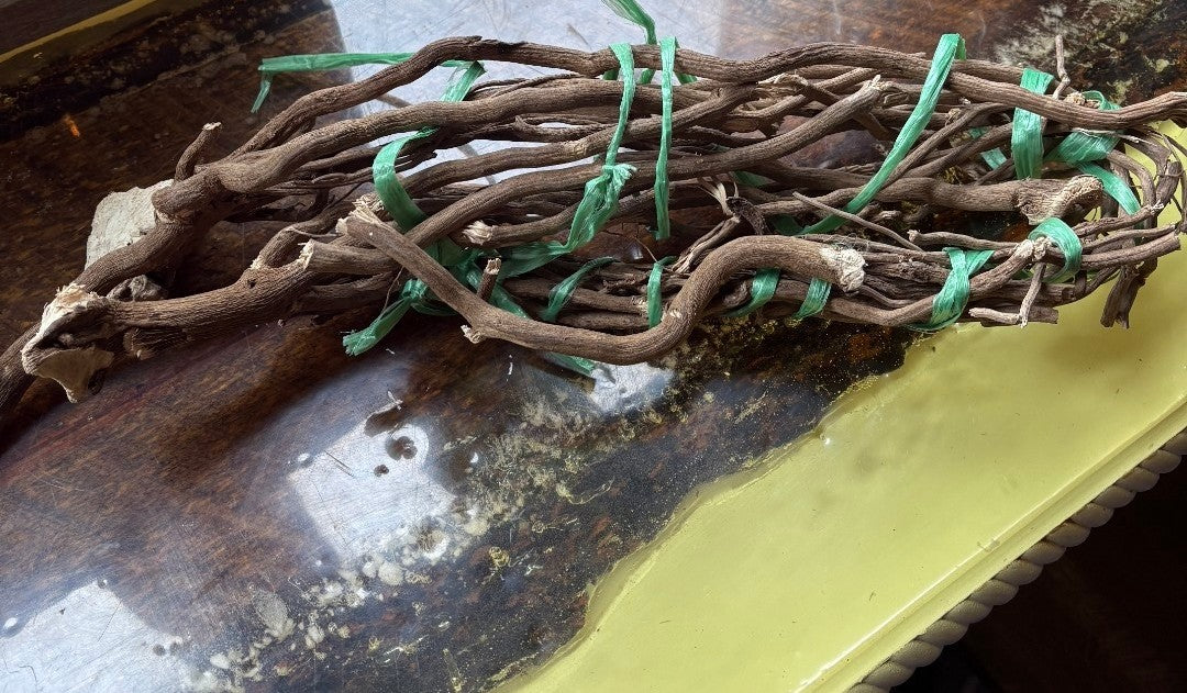 Bundle of whole dried kava roots tied together with green twine, showing long twisted roots laid on a rustic wooden surface.