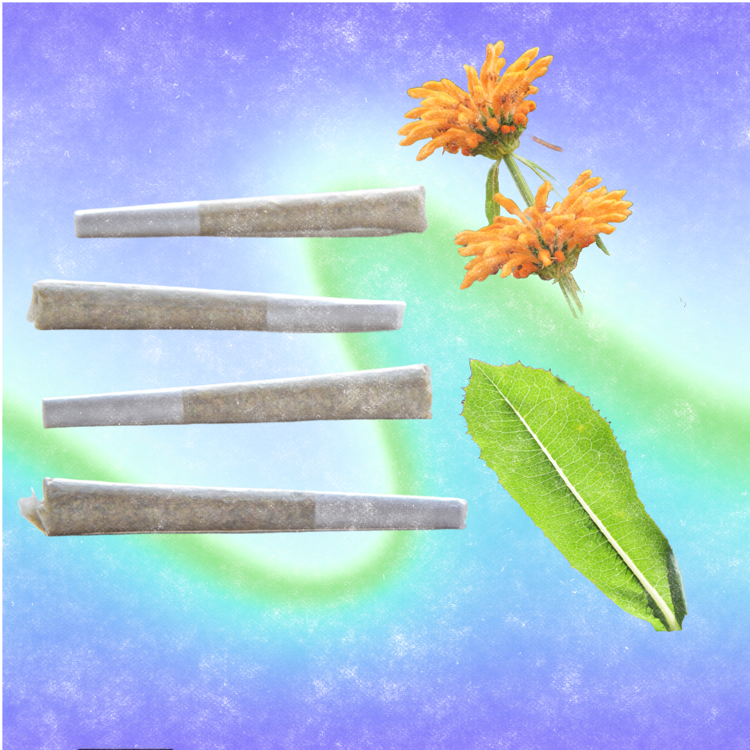 Wild Lettuce x Dagga Pre Roll