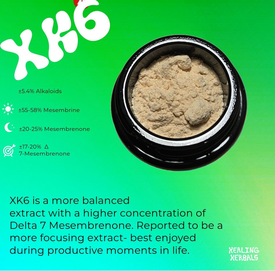 Promotional graphic of XK6 kanna extract powder by Healing Herbals, featuring a top-down view of a black jar filled with light tan powder on a green gradient background, with text highlighting alkaloid percentages, delta-7 mesembrenone content, and a balanced, focus-oriented profile.