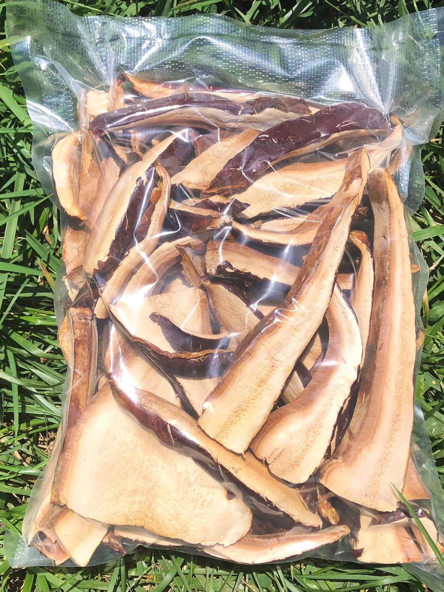 Dried mushrooms sealed in a clear plastic bag on a grass background.