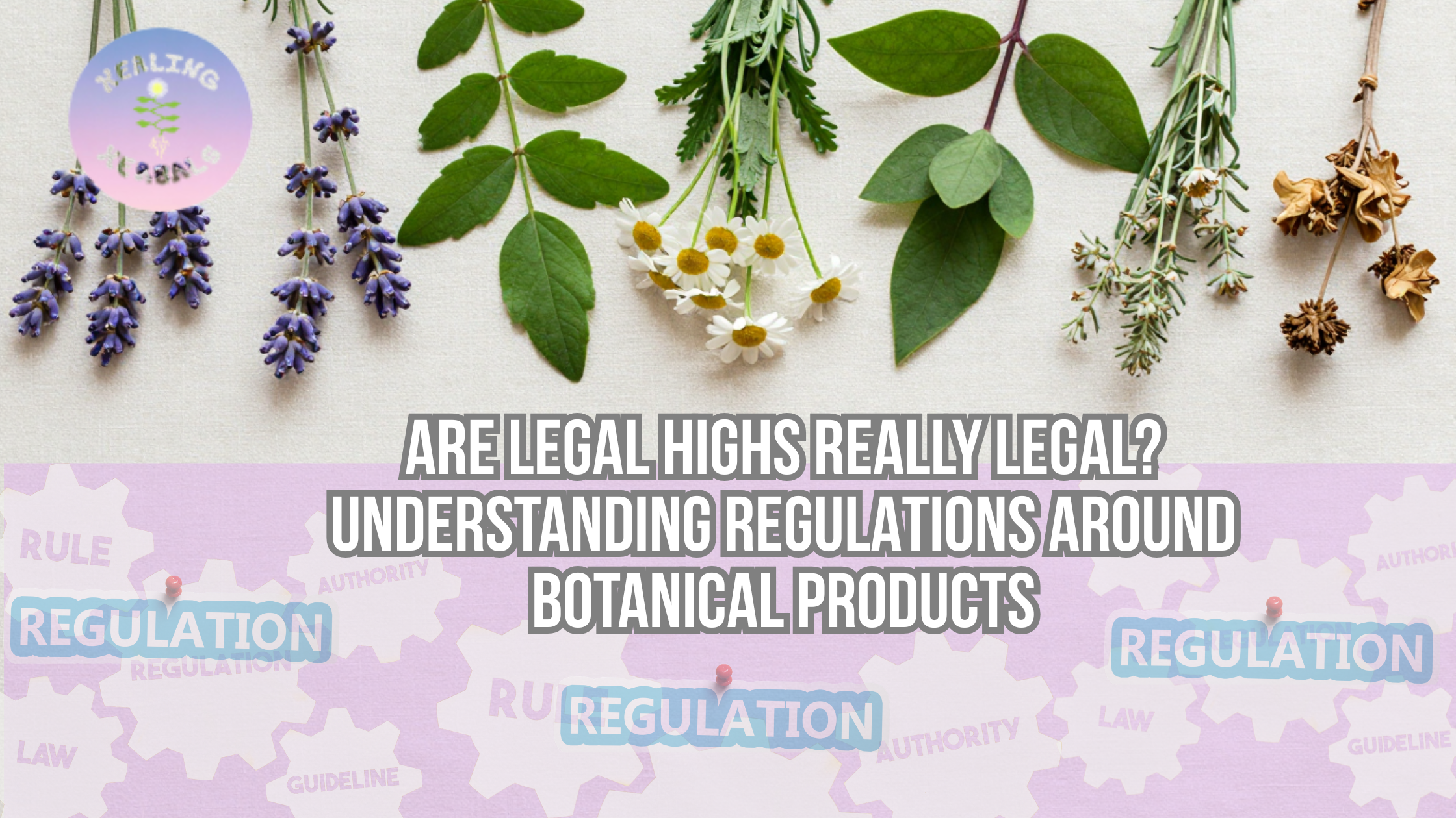 Are Legal Highs Really Legal? Understanding Regulations Around Botanical Products