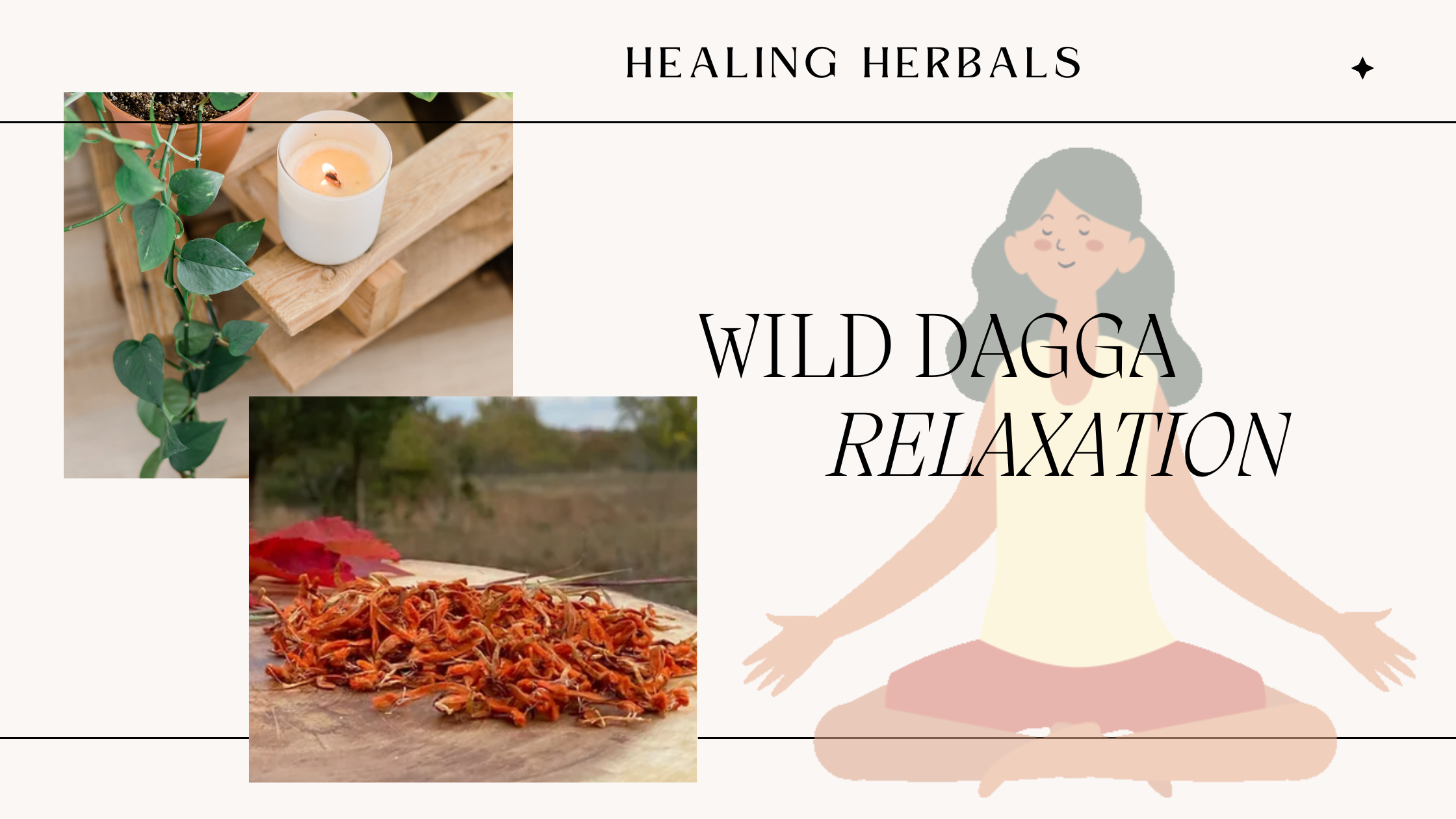 Wild Dagga for Relaxation: A Natural Remedy