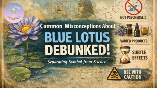 Blog banner featuring a blue lotus flower over water with the text “Common Misconceptions About Blue Lotus Debunked – Separating Symbol from Science,” plus icons labeled Not Psychedelic, Varied Products, Subtle Effects, and Use with Caution.