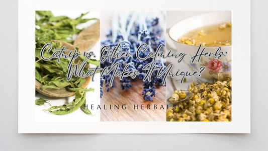Catnip vs. Other Calming Herbs: What Makes It Unique?