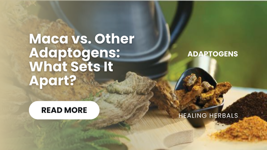 Maca vs. Other Adaptogens: What Sets It Apart?
