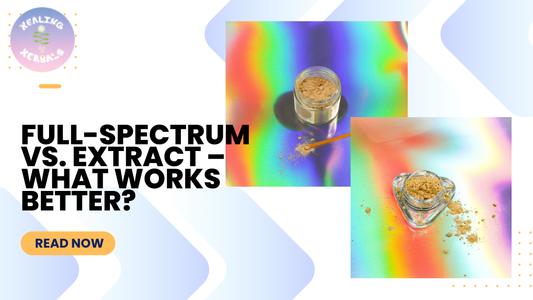 Kanna Showdown: Full-Spectrum vs. Extract – What Works Better?