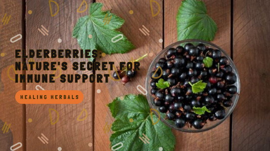 Elderberries: Nature's Secret for Immune Support