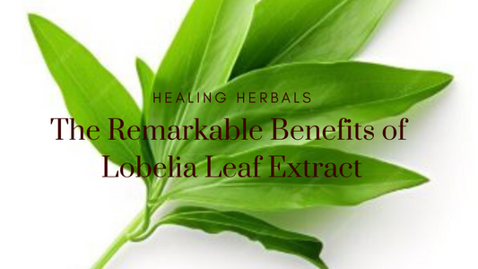 The Remarkable Benefits of Lobelia Leaf Extract