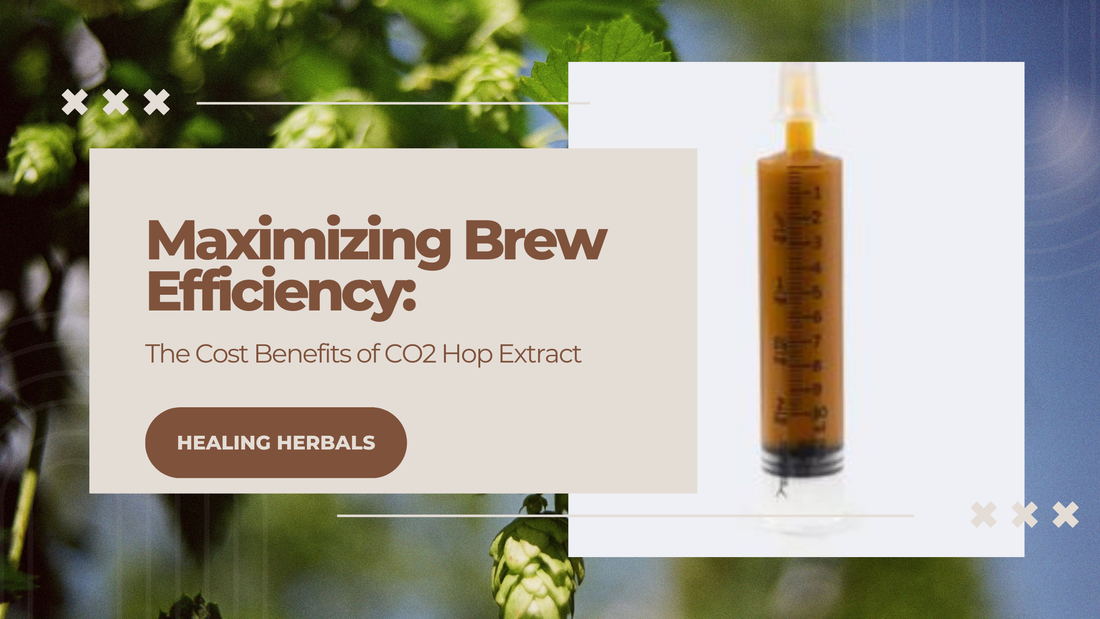 Maximizing Brew Efficiency: The Cost Benefits of CO2 Hop Extract