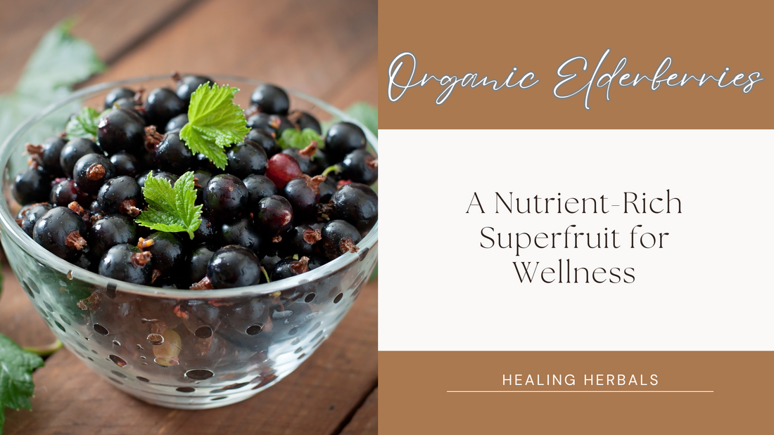 Organic Elderberries: A Nutrient-Rich Superfruit for Wellness