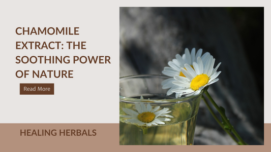 Chamomile Extract: The Soothing Power of Nature
