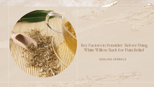 Key Factors to Consider Before Using White Willow Bark for Pain Relief