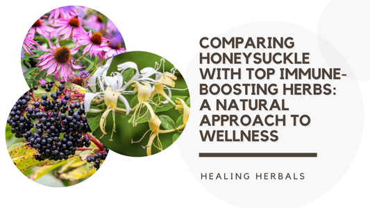 Comparing Honeysuckle with Top Immune-Boosting Herbs: A Natural Approach to Wellness