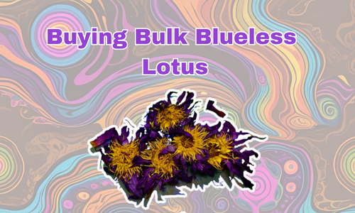 How Healing Herbals Began Offering Bulk Blueless Vape Juice by the Gallon