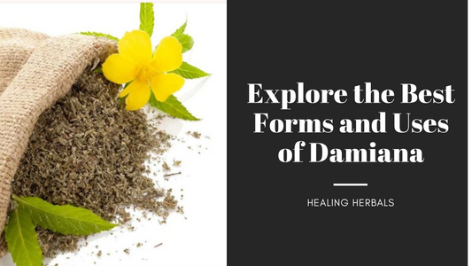 Explore the Best Forms and Uses of Damiana