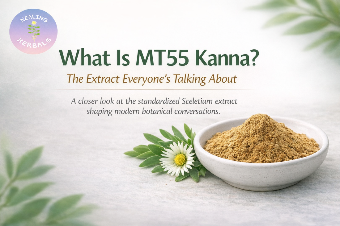 MT55 Kanna extract powder in a minimalist ceramic bowl with subtle botanical elements, representing modern Sceletium tortuosum extracts.