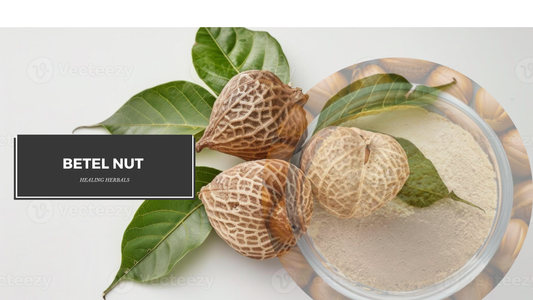 How to Perfectly Prepare Organic Betel Nut Powder?