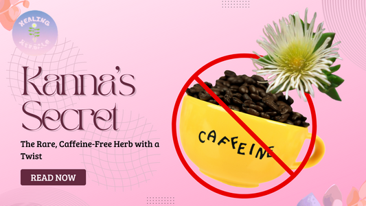 Kanna’s Secret:The Rare, Caffeine-Free Herb with a Twist