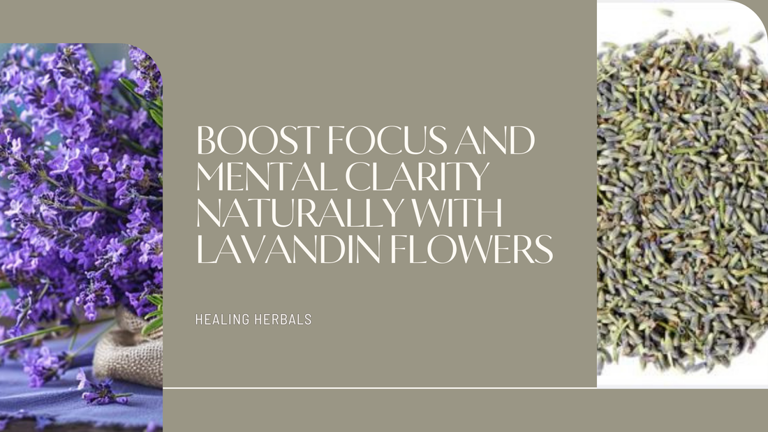 Boost Focus and Mental Clarity Naturally with Lavandin Flowers