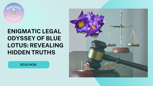 Enigmatic Legal Odyssey of Blue Lotus: Revealing Hidden Truths
