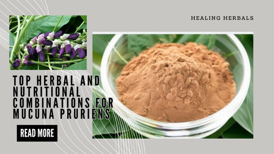Top Herbal and Nutritional Combinations for Mucuna pruriens
