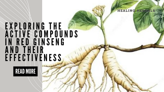 Exploring the Active Compounds in Red Ginseng and Their Effectiveness