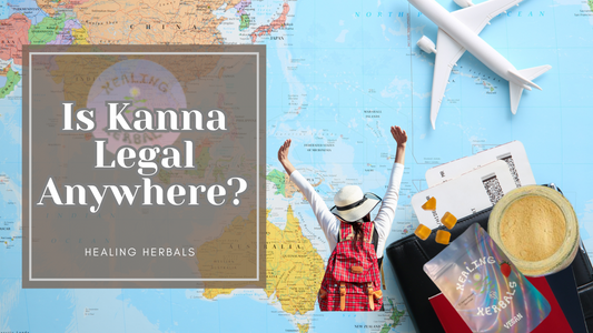 Is Kanna Legal Anywhere? Your Ultimate Travel Guide