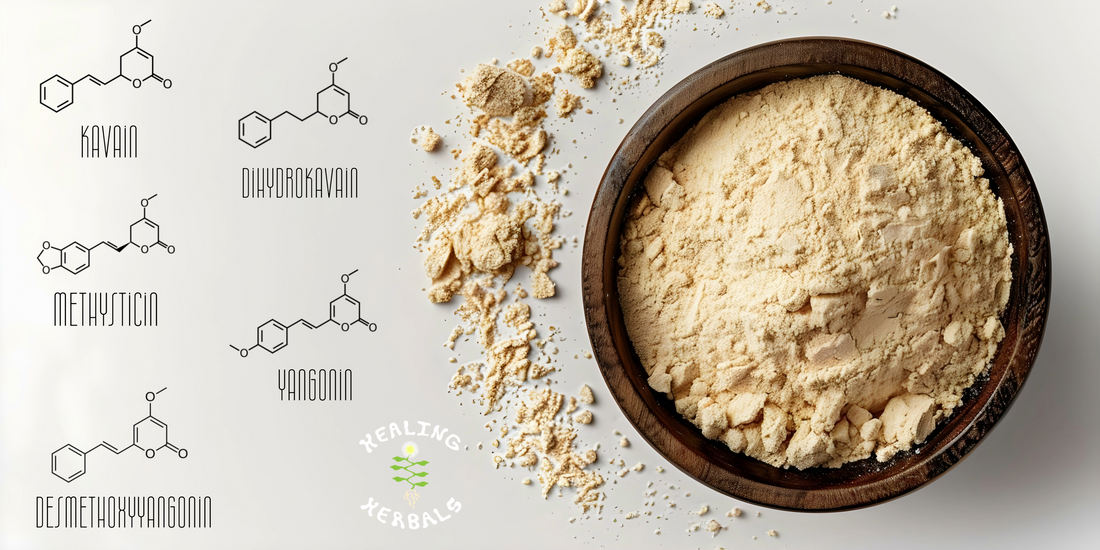 Kava’s Active Compounds: Understanding Kavalactones and Their Effects