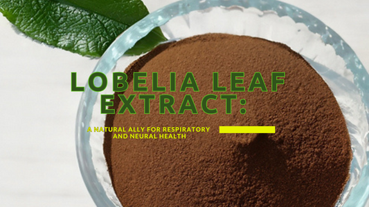 Lobelia Leaf Extract: A Natural Ally for Respiratory and Neural Health