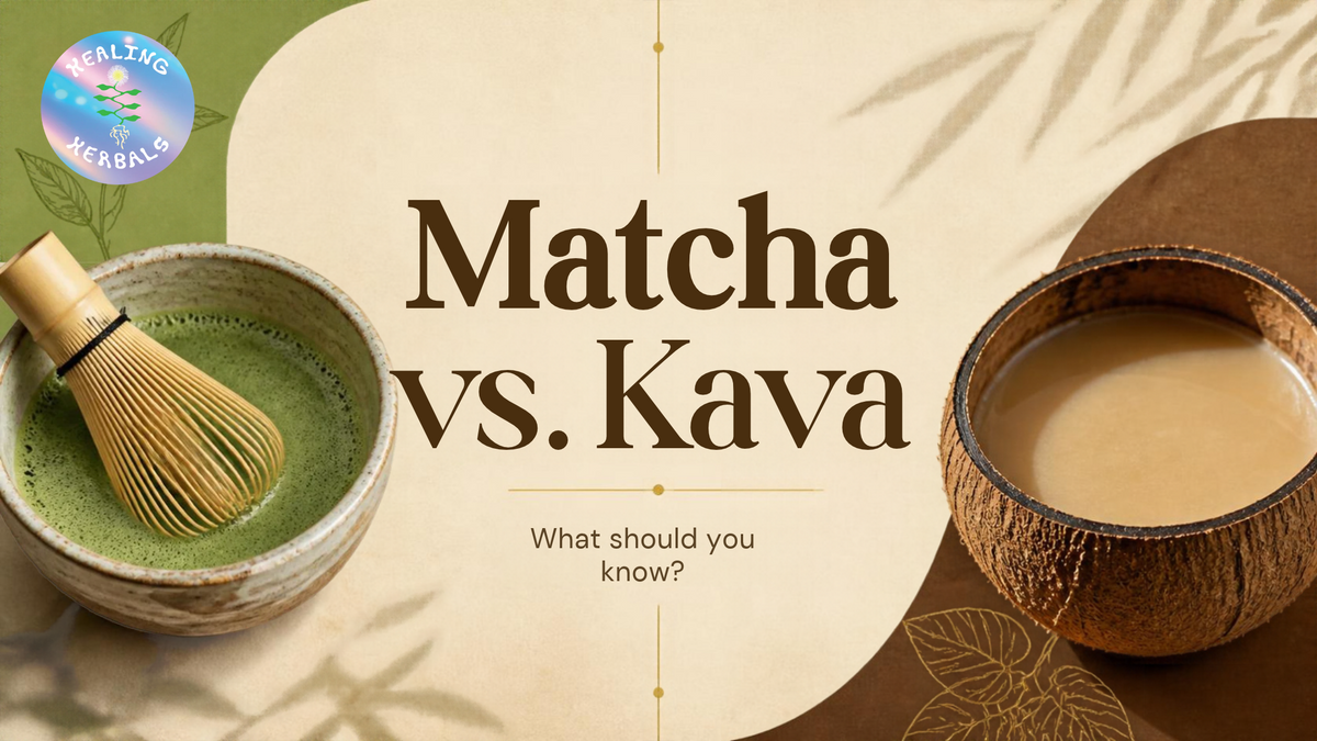 Matcha vs. Kava