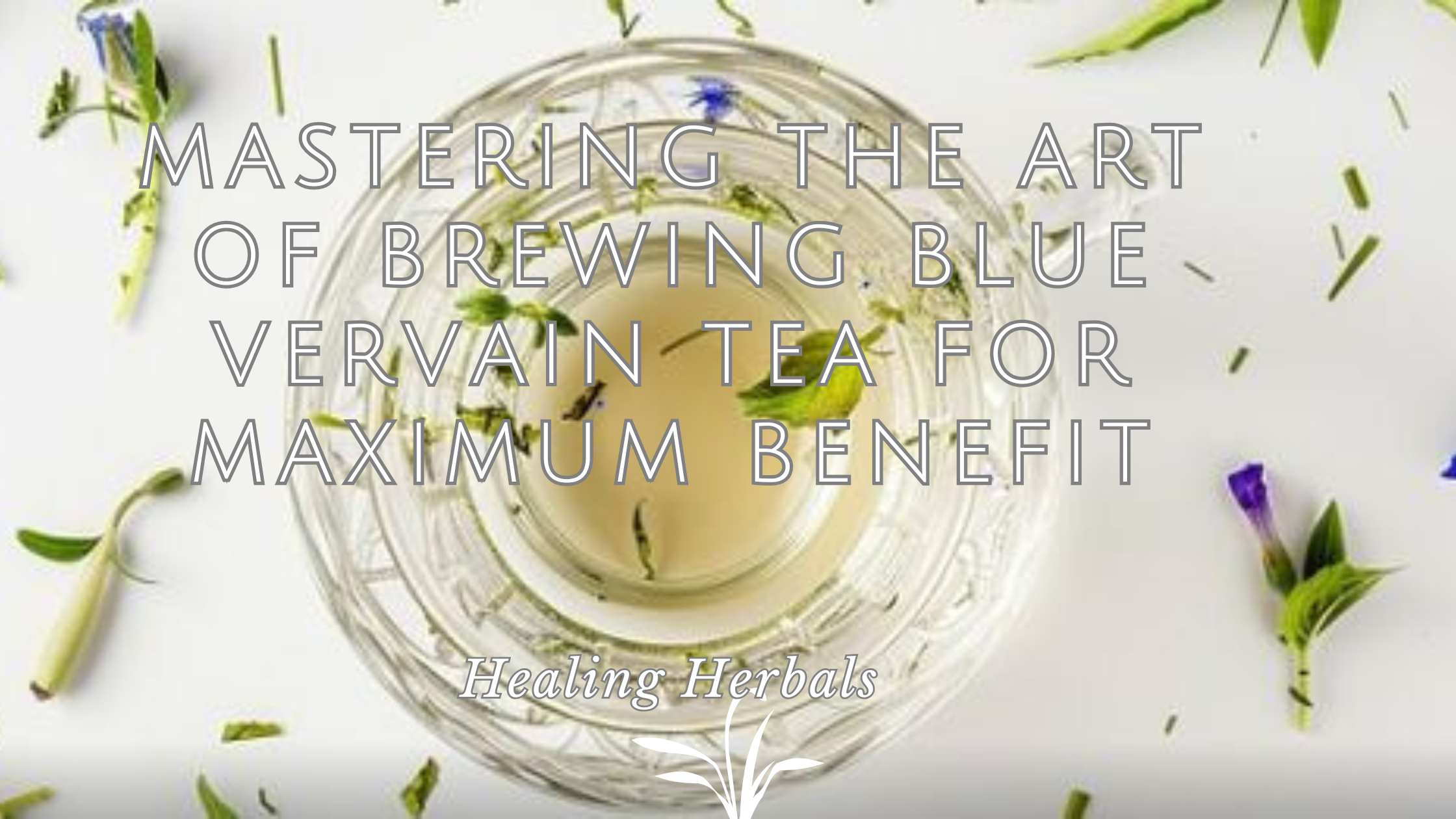 Mastering the Art of Brewing Blue Vervain Tea for Maximum Benefit