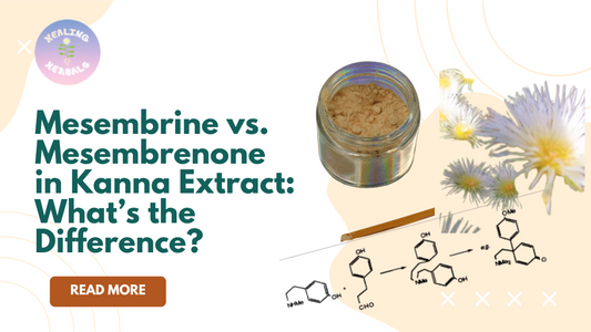 Mesembrine vs. Mesembrenone Explained: Choosing the Best Kanna Extract