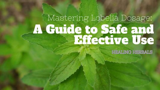 Mastering Lobelia Dosage: A Guide to Safe and Effective Use