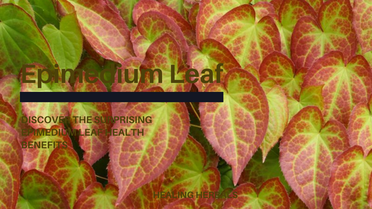 Learn the Surprising Epimedium Leaf Health Benefits