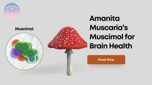 AMANITA FOR BRAIN HEALTH