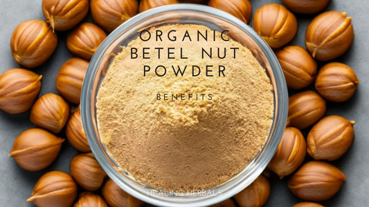 Exploring the Benefits of Organic Betel Nut Powder