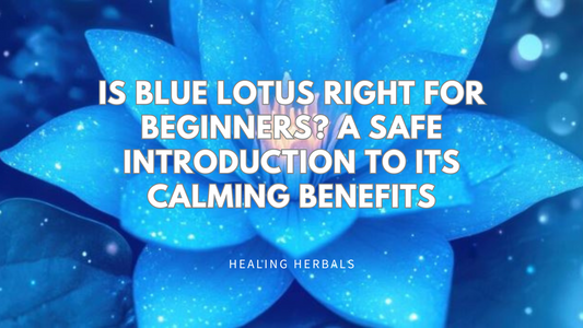 Is Blue Lotus Right for Beginners? A Safe Introduction to Its Calming Benefits