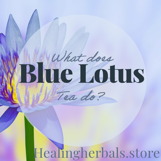 What Does Blue Lotus Tea do?