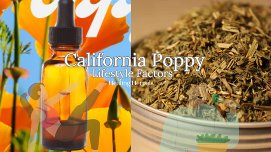 California Poppy and Lifestyle Factors