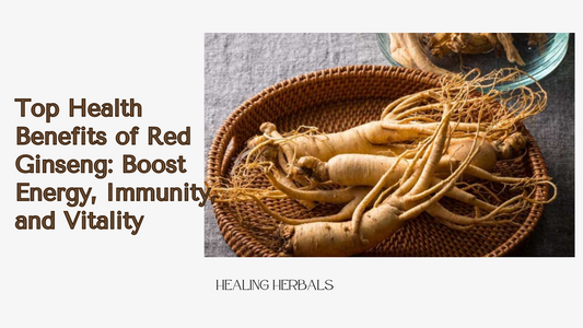 Top Health Benefits of Red Ginseng: Boost Energy, Immunity, and Vitality