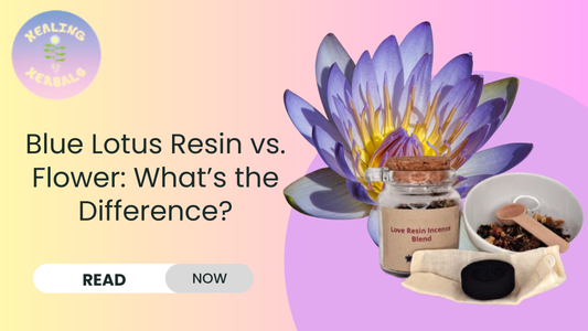 Blue Lotus Resin vs. Flower: What’s the Difference?
