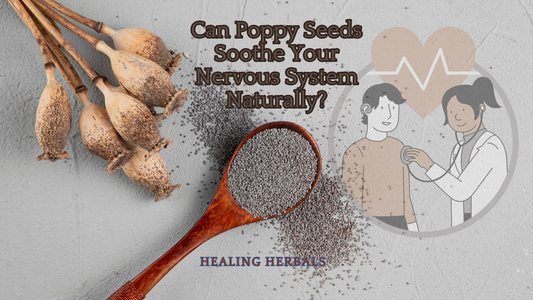 Can Poppy Seeds Soothe Your Nervous System Naturally?