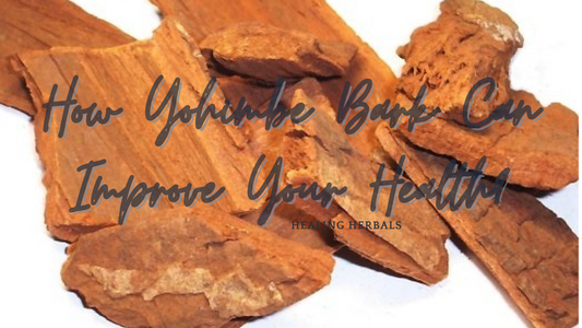 How Yohimbe Bark Can Improve Your Health?