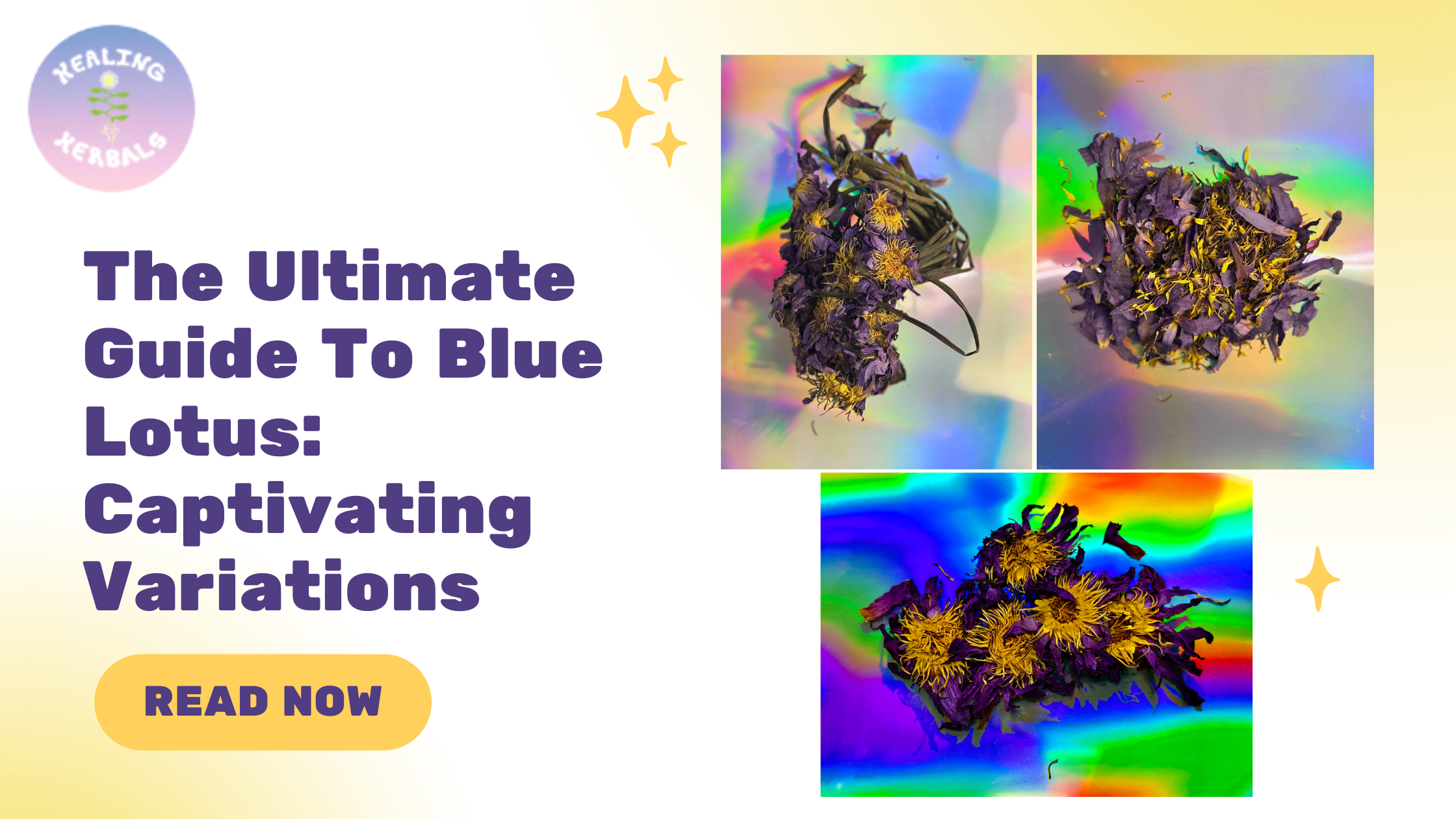 The Ultimate Guide To Blue Lotus: Captivating Variations