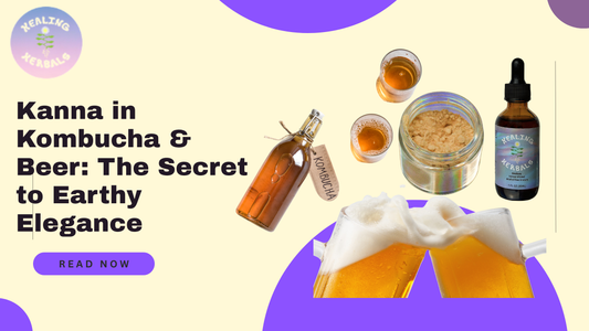 Kanna in Kombucha & Beer: The Secret to Earthy Elegance