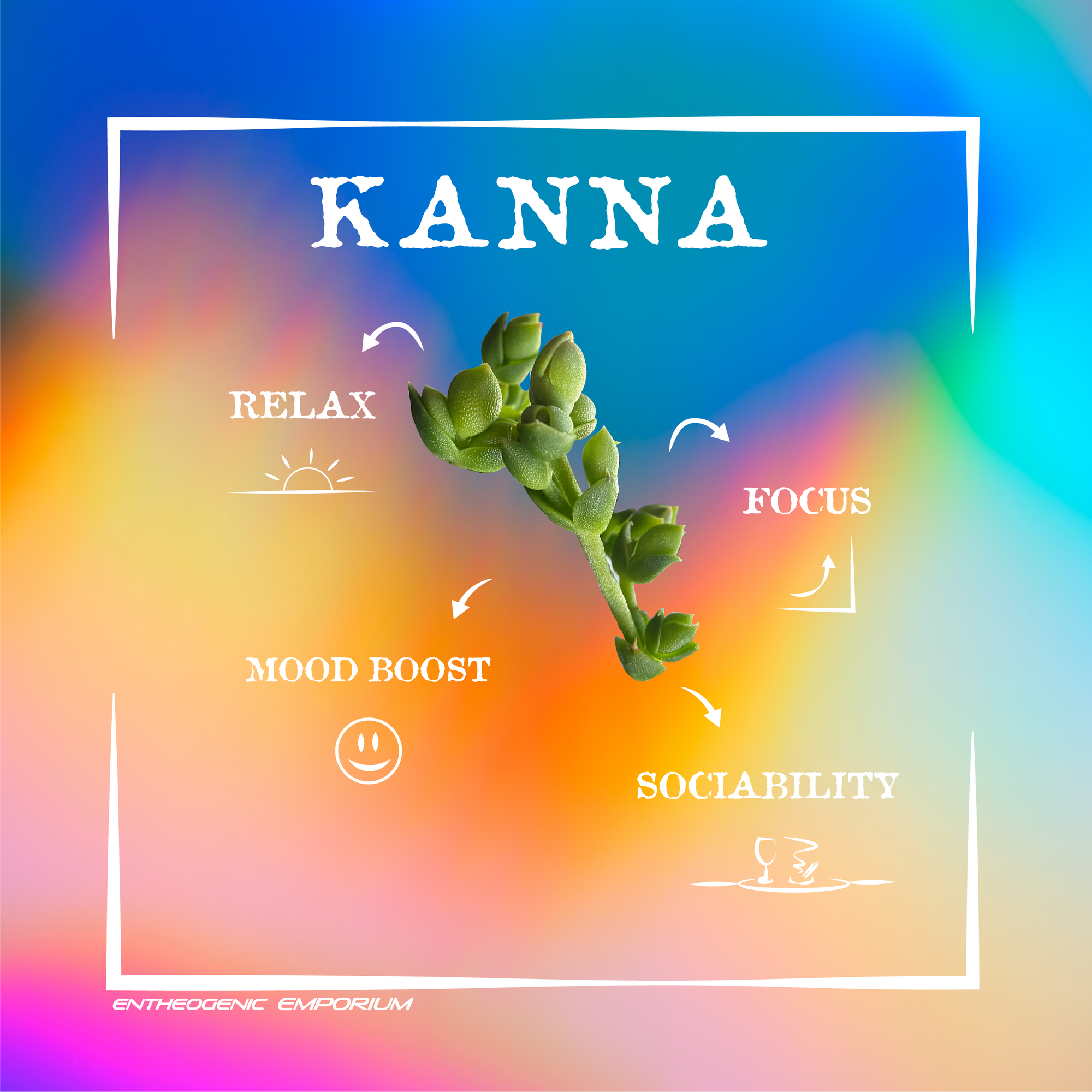 Can Kanna be Combined with Other Herbs or Supplements?